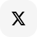 icon-ex